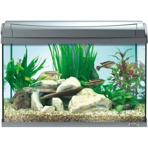 Аквариум Tetra AquaArt LED 60л + фильтр + нагреватель + корм + средства для воды
