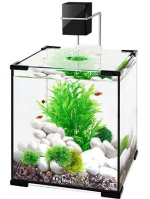 Аквариум Biodesign Q-SCAPE 10, 22х22×25 см, 10 л