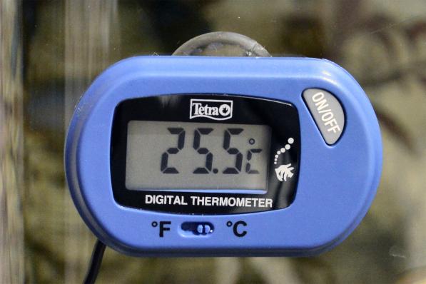 Tetra TH Digital Thermometer цифровой термометр