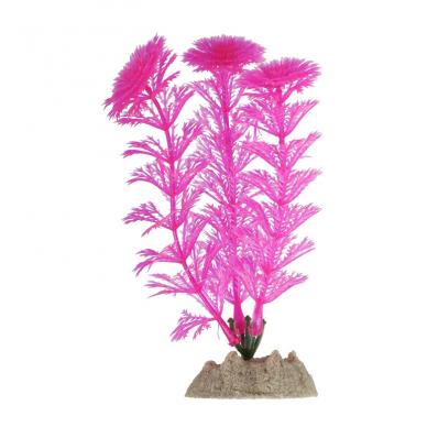 Растение флуоресцирующее GloFish розовое S 13 см