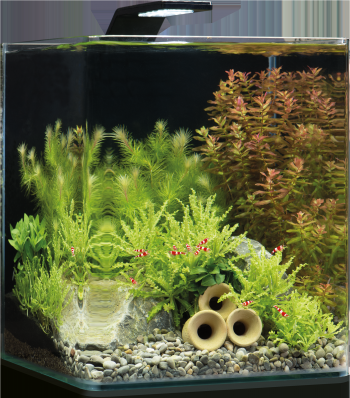 Аквариум Dennerle Nano Cube Basic на 20л Style LED M