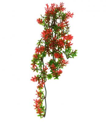 LUCKY REPTILE Декоративное растение для террариумов "Turtle Plant Ludwigia", 40см (Германия)