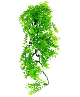 LUCKY REPTILE Декоративное растение для террариумов "Turtle Plant Ceratopteris", 40см (Германия)