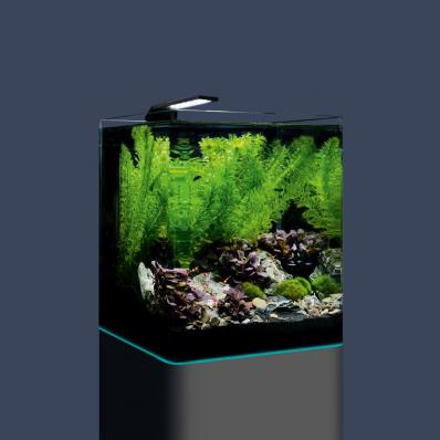 Аквариум Dennerle Nano Cube Complete 30 л (в комплекте фильтр, освещение, питательная подложка , кварцевый грунт и термометр)